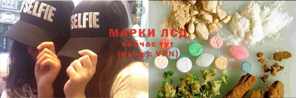 дмт Богданович