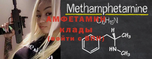 дмт Богданович