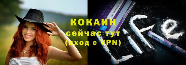 дмт Богданович
