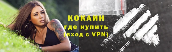 дурь Богородицк