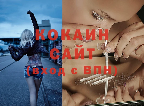сатива Белокуриха