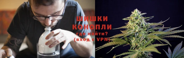 сатива Белокуриха