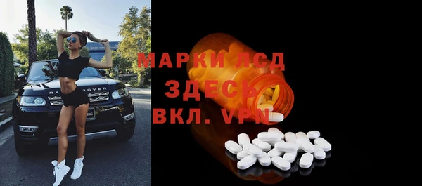 дмт Богданович