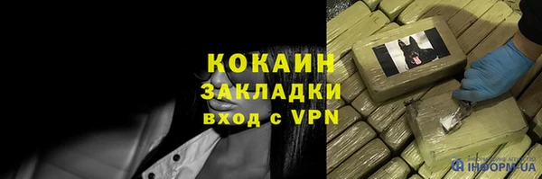 дурь Богородицк