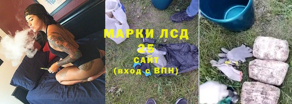 дмт Богданович