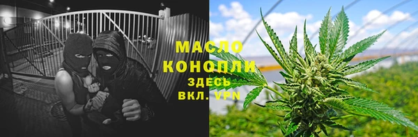 дмт Богданович