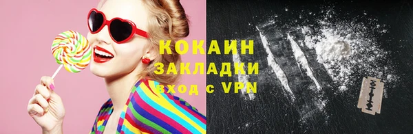 дмт Богданович