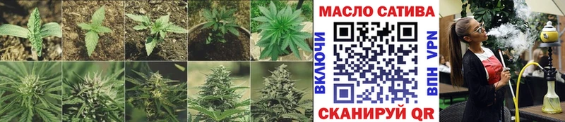 закладка  Бородино  ТГК Wax 