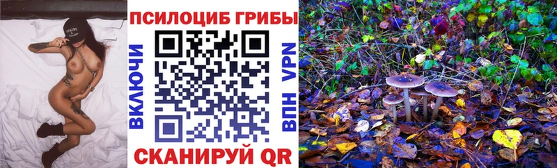 Галлюциногенные грибы GOLDEN TEACHER  darknet наркотические препараты  Бородино 